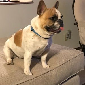 Meet your Posher, Samantha